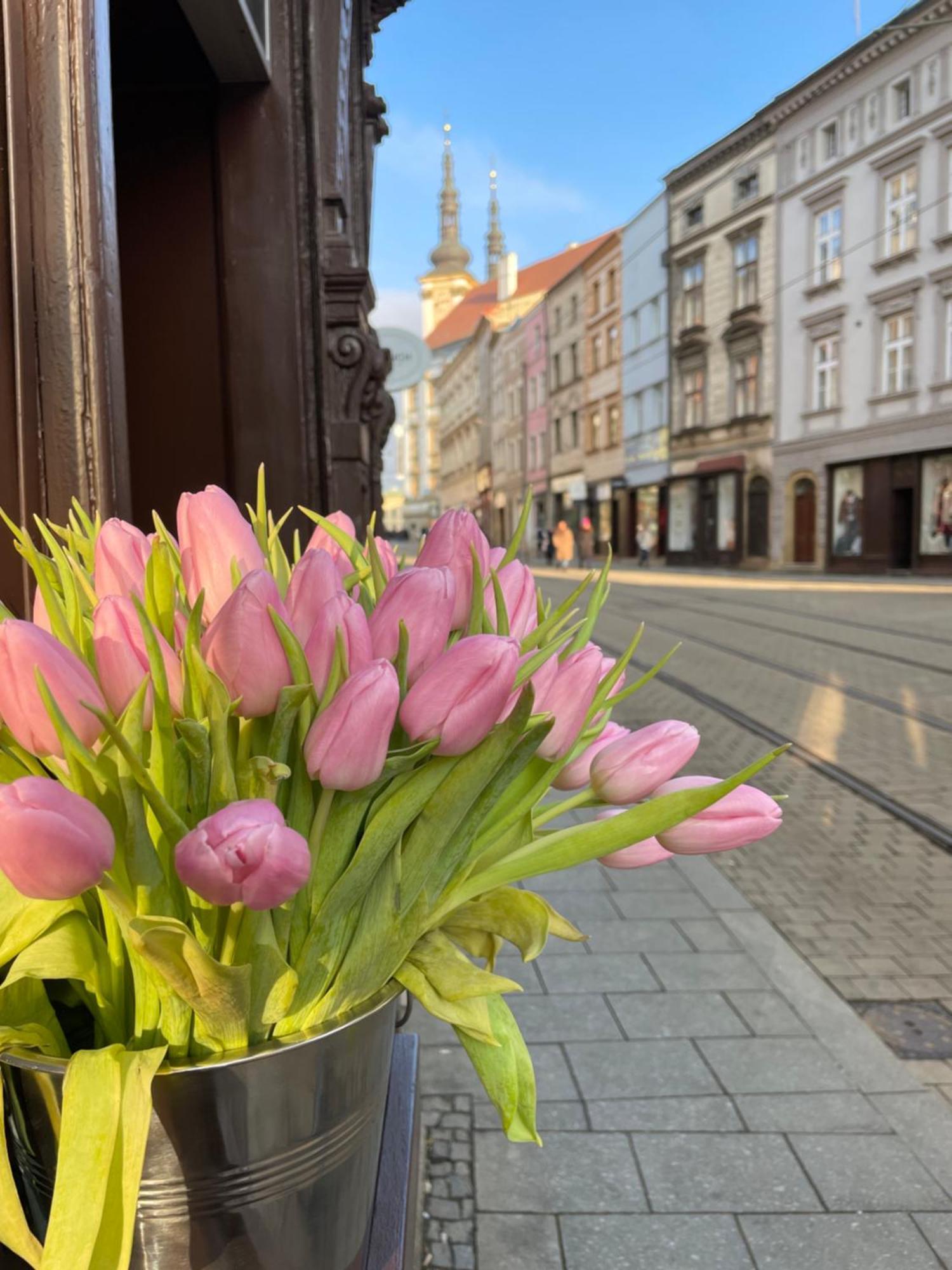 Kovarik Apartments I Оломоуц Екстериор снимка